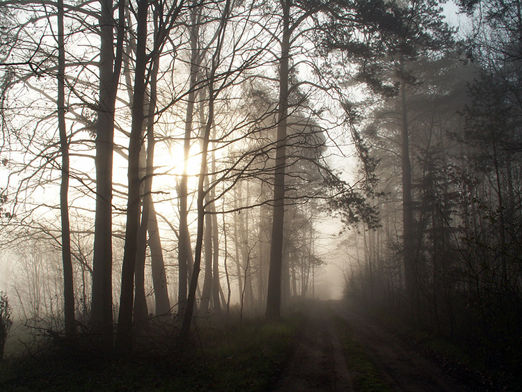 Wczytywanie Obrazu...