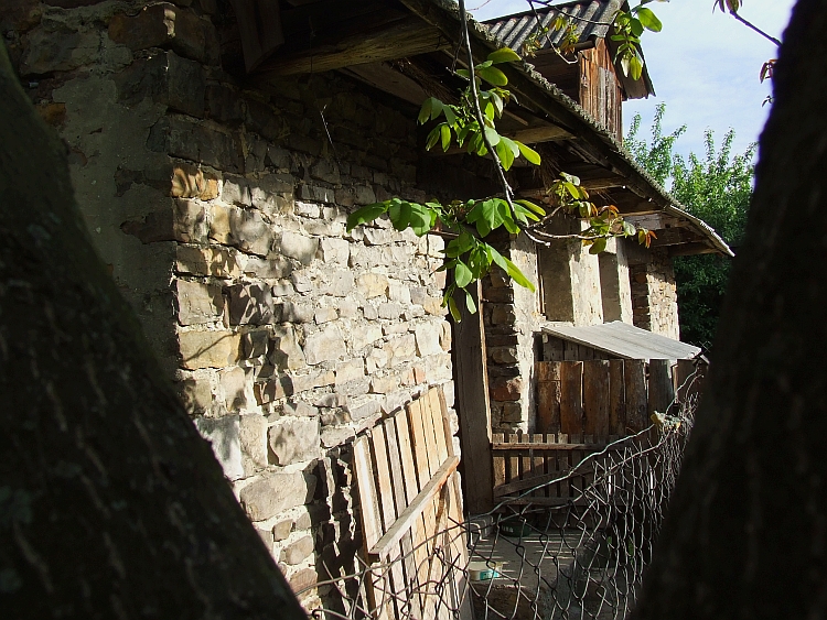 Wczytywanie Obrazu...