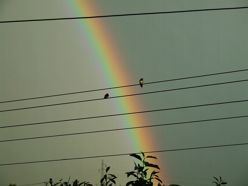 Wczytywanie Obrazu...