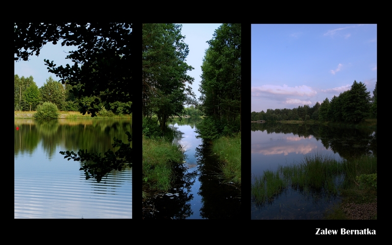 Wczytywanie Obrazu...