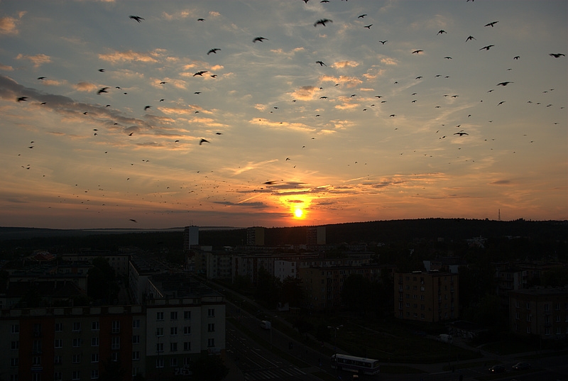 Wczytywanie Obrazu...