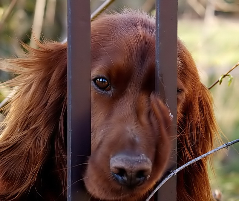 Wczytywanie Obrazu...