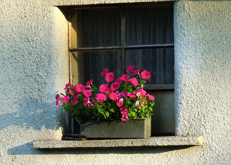 Wczytywanie Obrazu...