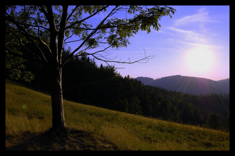 Wczytywanie Obrazu...