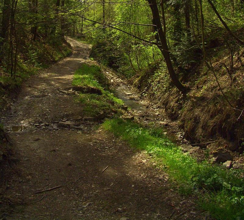 Wczytywanie Obrazu...