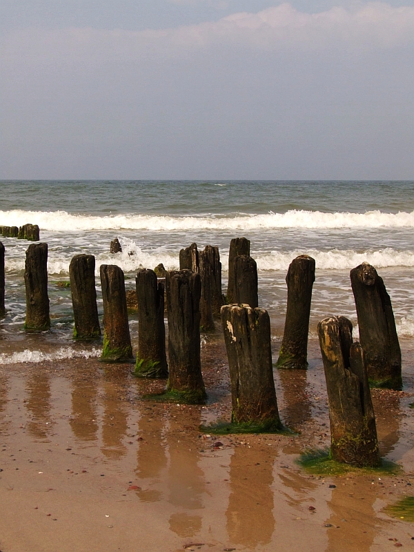 Wczytywanie Obrazu...