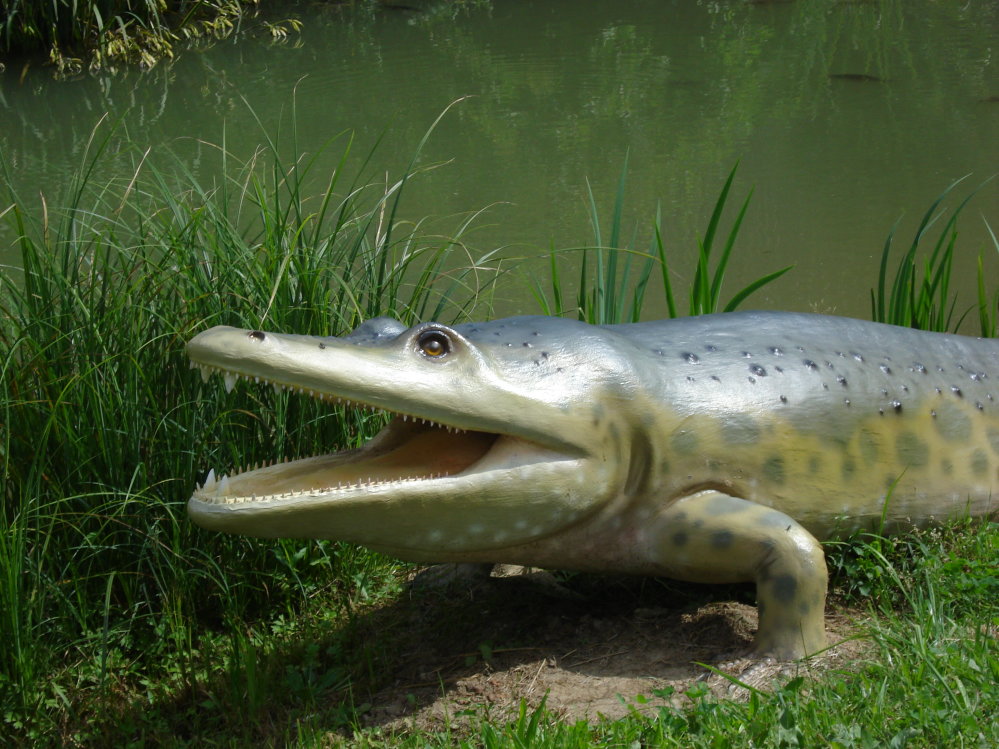 Wczytywanie Obrazu...