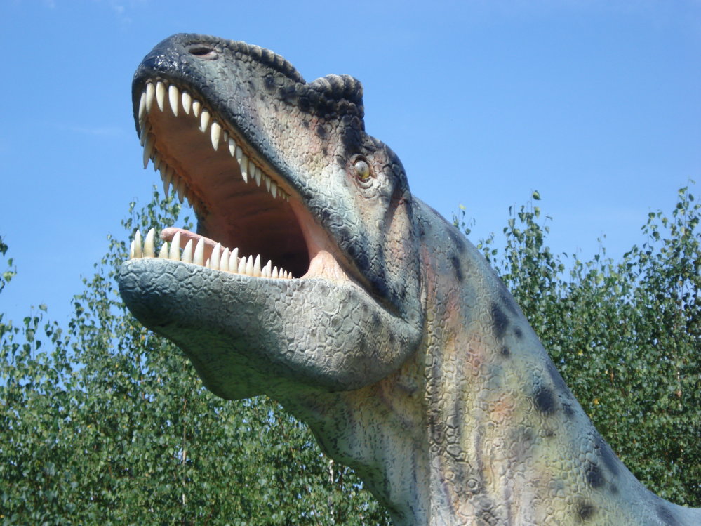 Wczytywanie Obrazu...