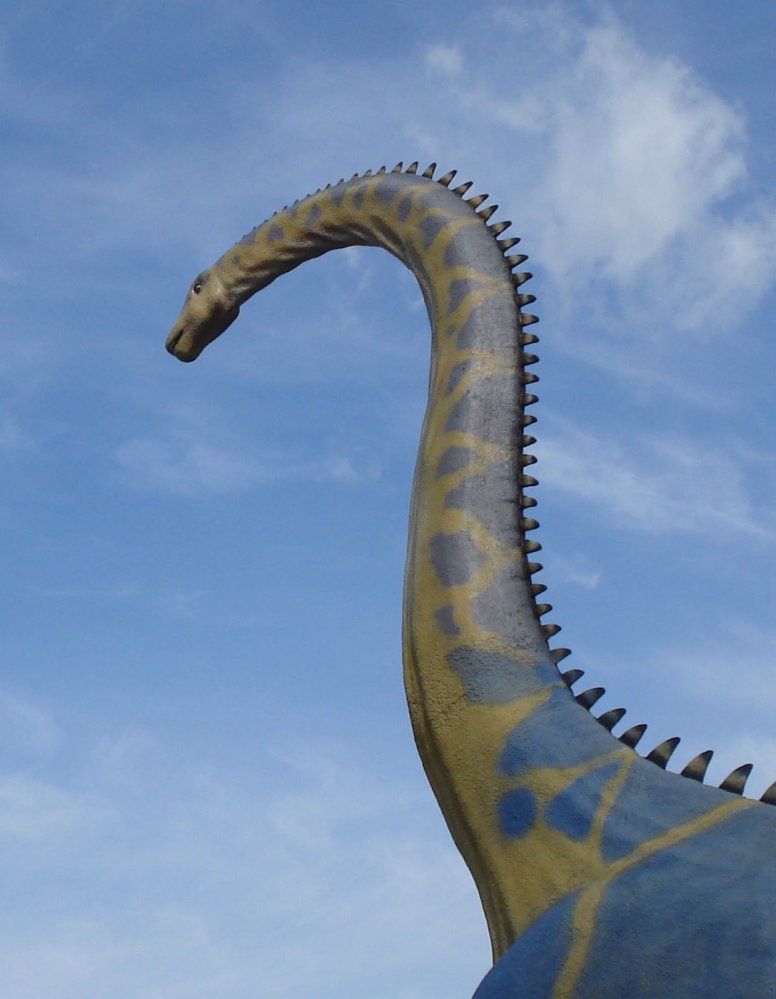 Wczytywanie Obrazu...