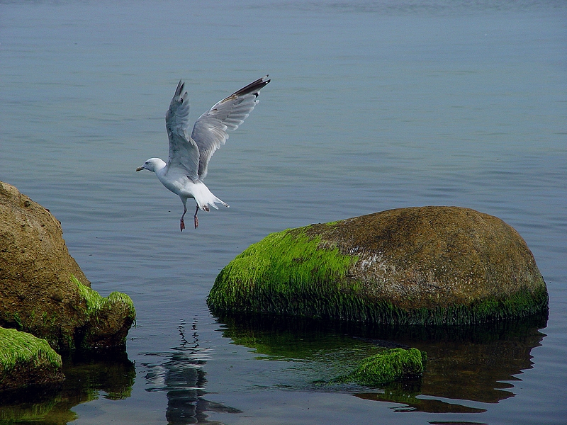 Wczytywanie Obrazu...