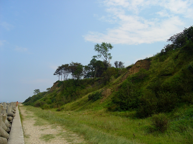 Wczytywanie Obrazu...