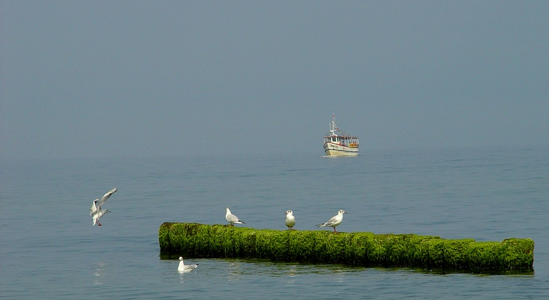 Wczytywanie Obrazu...