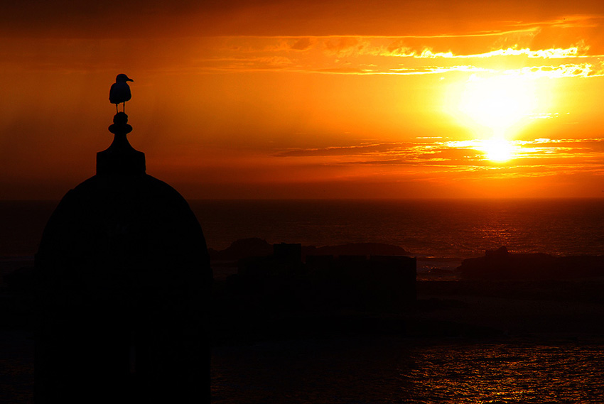 Wczytywanie Obrazu...