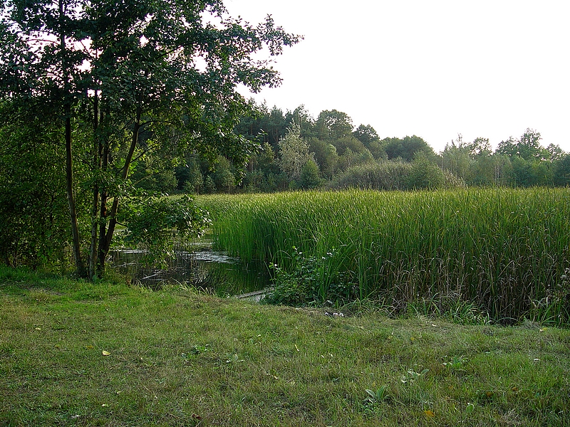 Wczytywanie Obrazu...