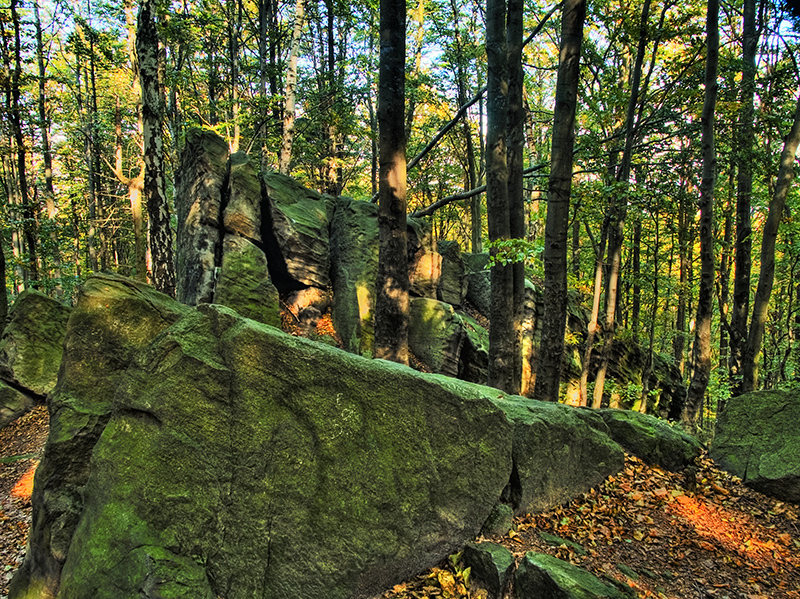 Wczytywanie Obrazu...