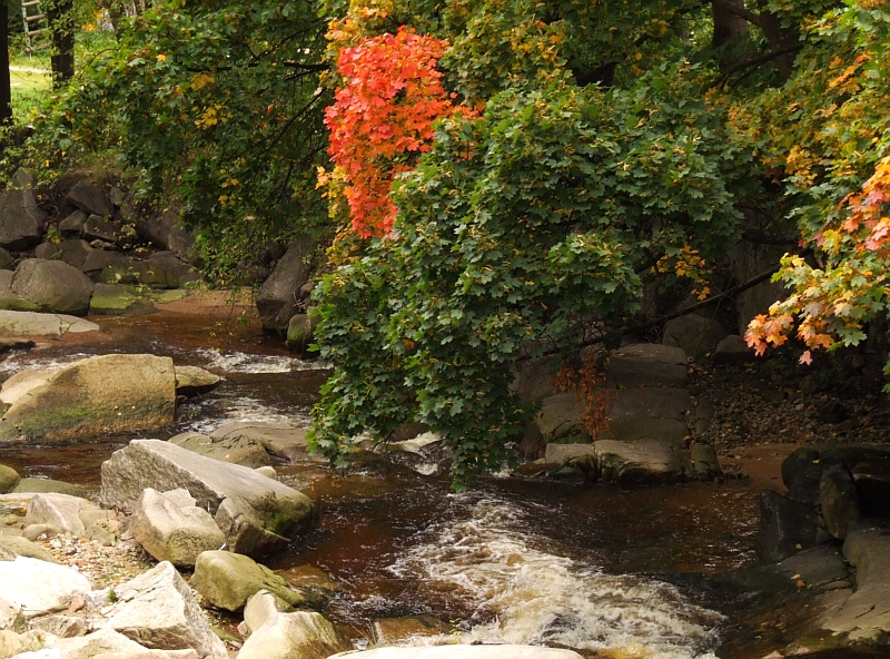 Wczytywanie Obrazu...