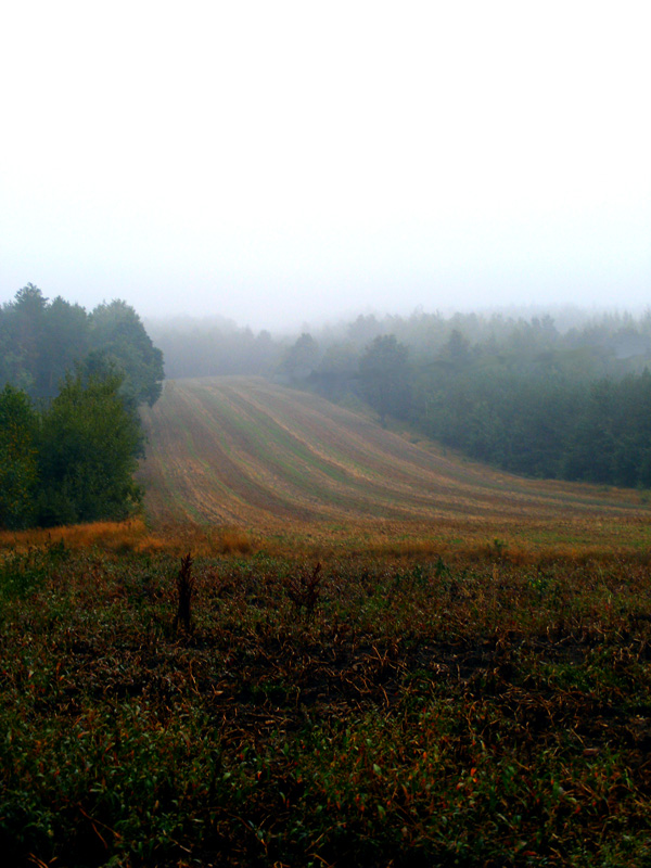 Wczytywanie Obrazu...