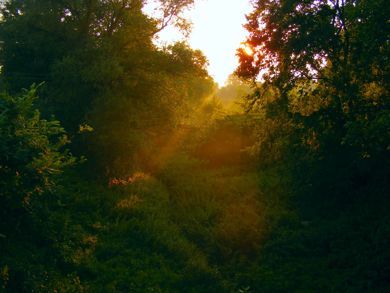 Wczytywanie Obrazu...