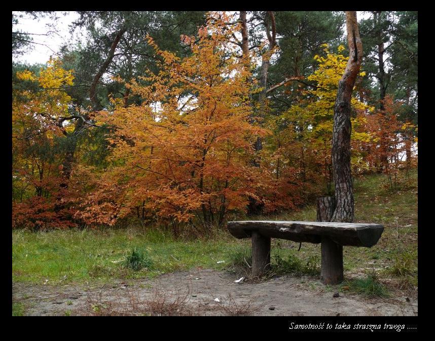 Wczytywanie Obrazu...