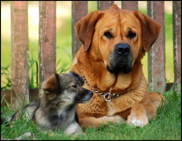 Wczytywanie Obrazu...