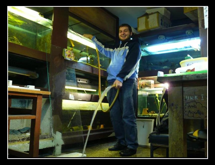 Wczytywanie Obrazu...