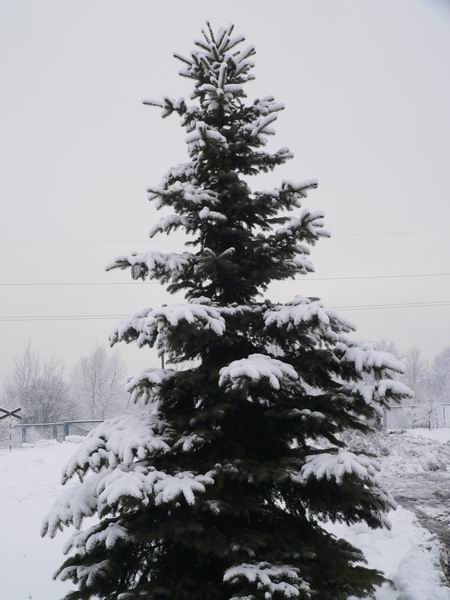 Wczytywanie Obrazu...