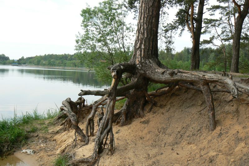 Wczytywanie Obrazu...