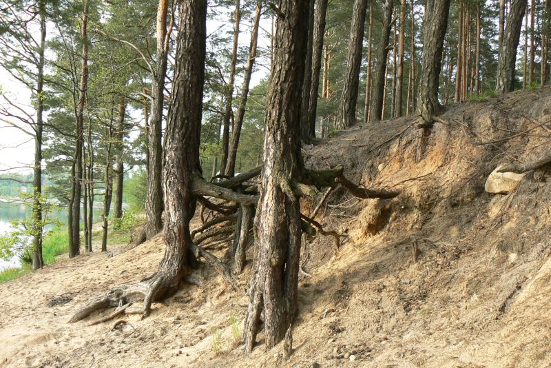 Wczytywanie Obrazu...