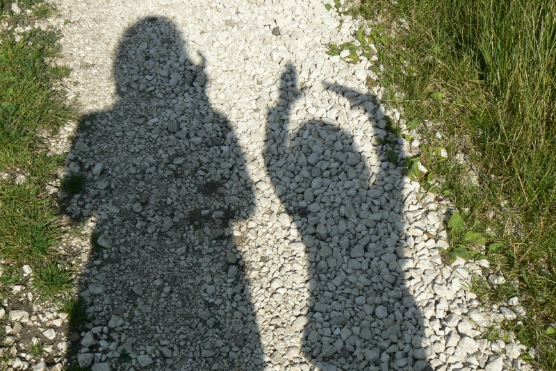 Wczytywanie Obrazu...