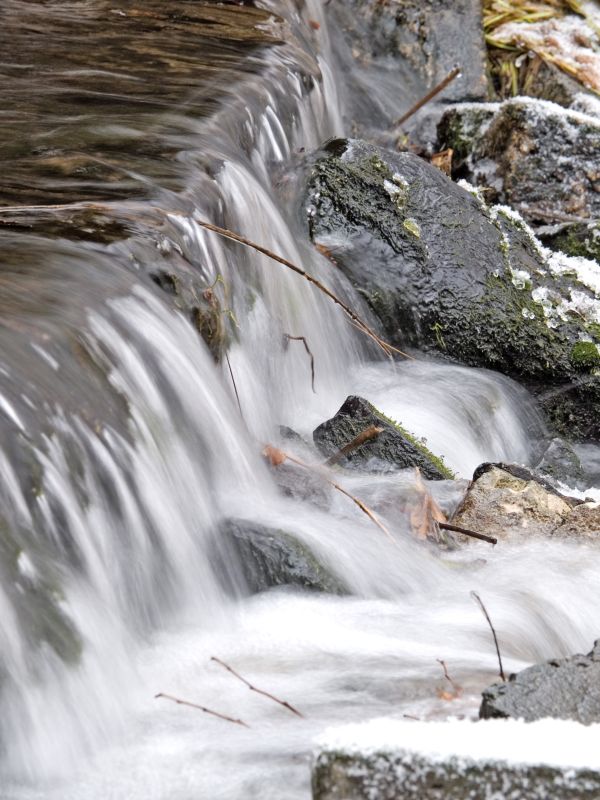 Wczytywanie Obrazu...