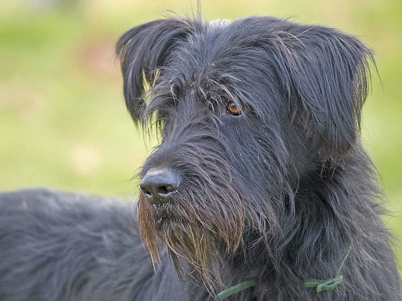 Wczytywanie Obrazu...