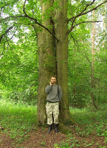 Wczytywanie Obrazu...