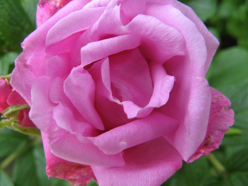 Wczytywanie Obrazu...