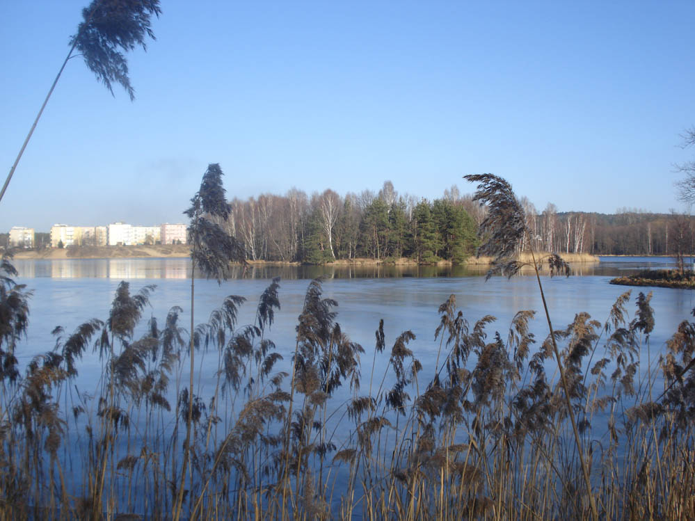 Wczytywanie Obrazu...