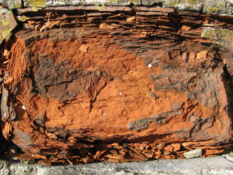 Wczytywanie Obrazu...