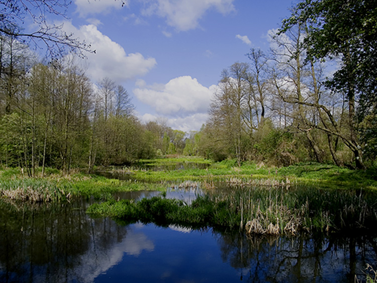 Wczytywanie Obrazu...