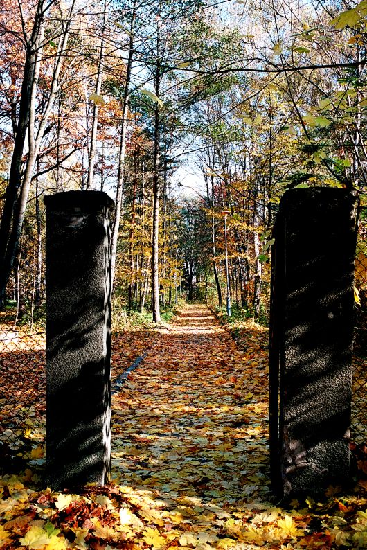 Wczytywanie Obrazu...