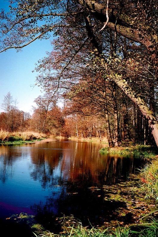 Wczytywanie Obrazu...