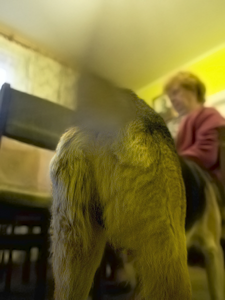 Wczytywanie Obrazu...