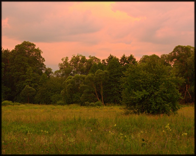 Wczytywanie Obrazu...