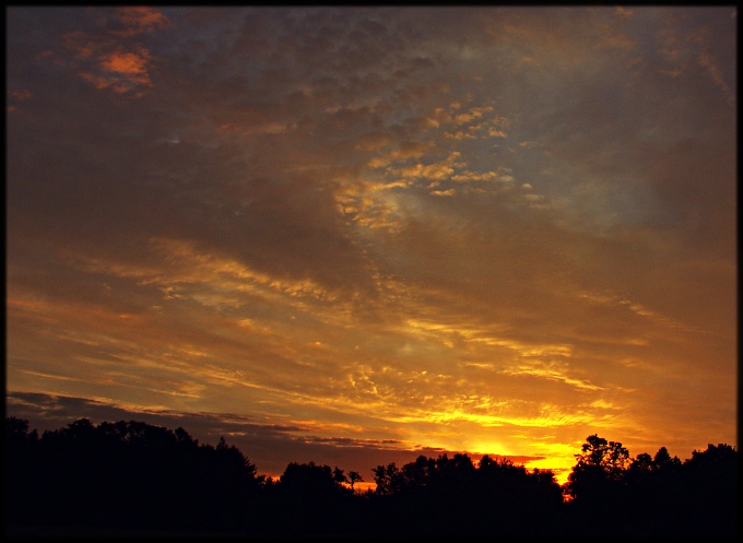 Wczytywanie Obrazu...