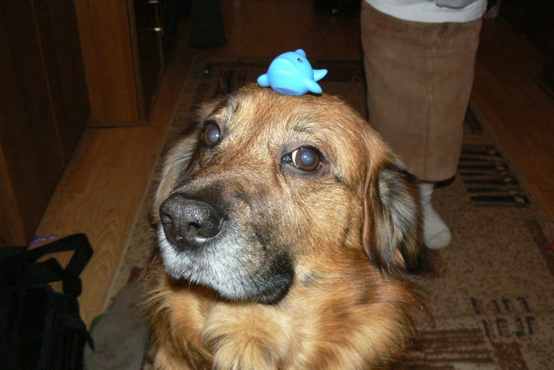 Wczytywanie Obrazu...