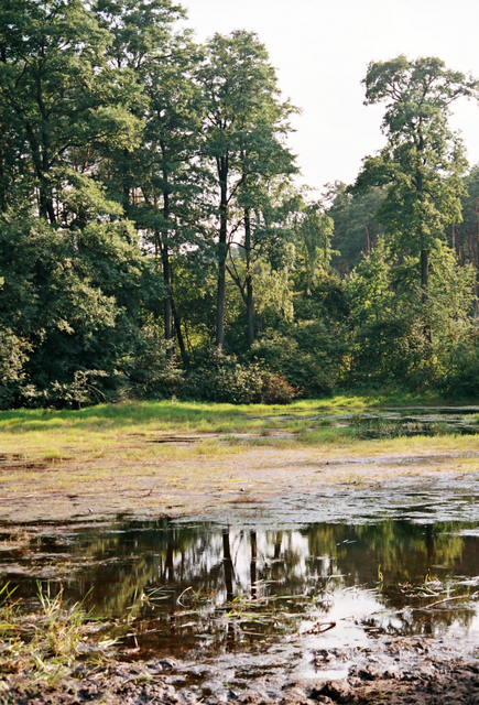 Wczytywanie Obrazu...