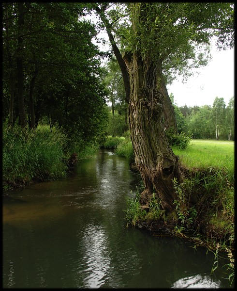 Wczytywanie Obrazu...