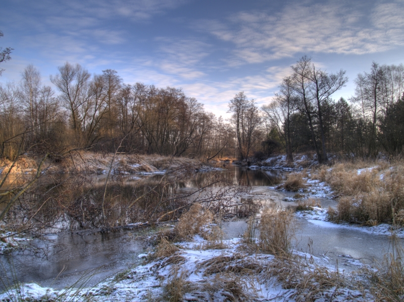 Wczytywanie Obrazu...
