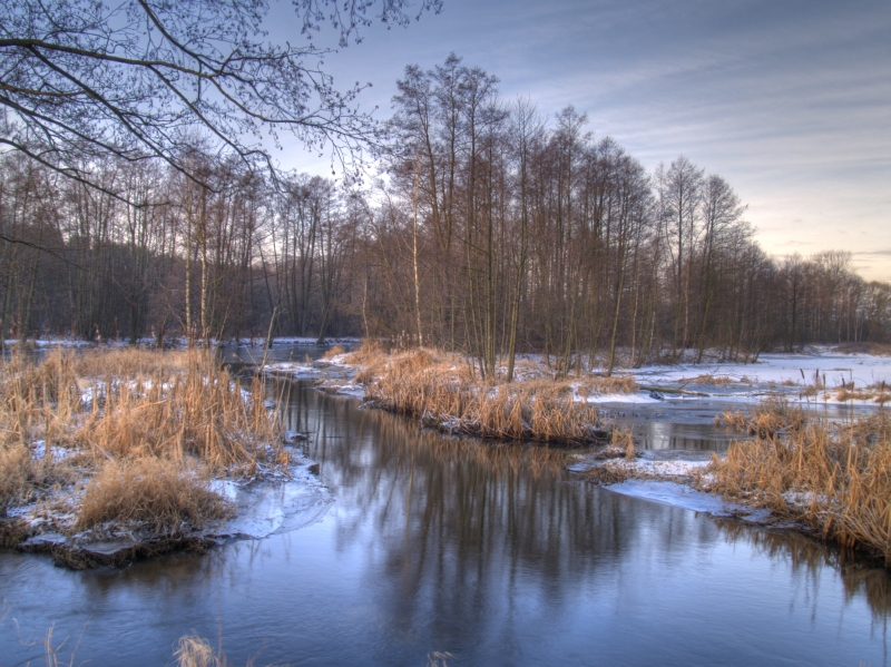 Wczytywanie Obrazu...