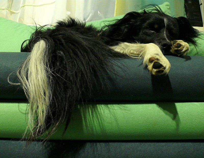 Wczytywanie Obrazu...