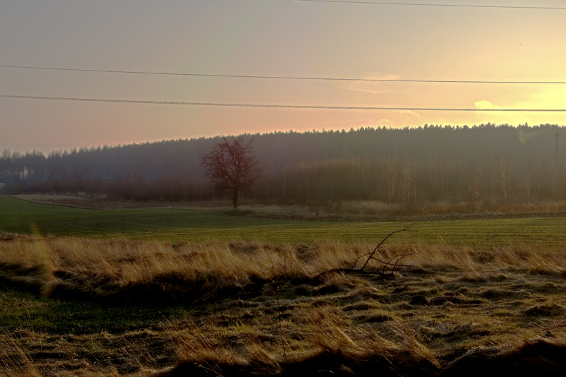 Wczytywanie Obrazu...