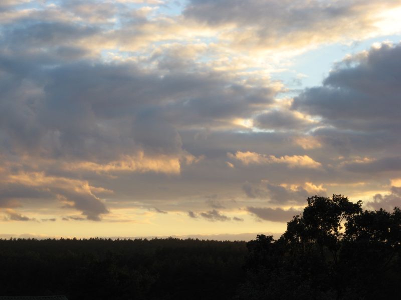 Wczytywanie Obrazu...