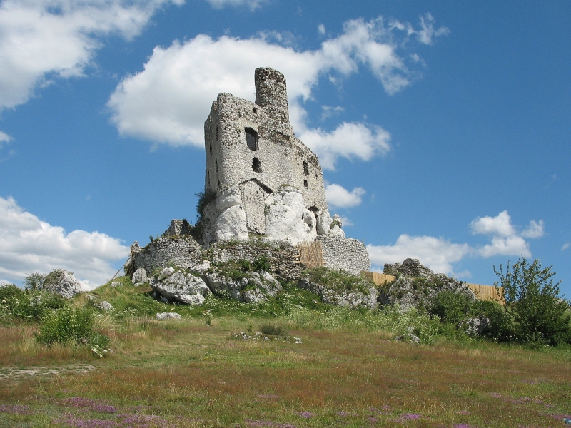 Wczytywanie Obrazu...